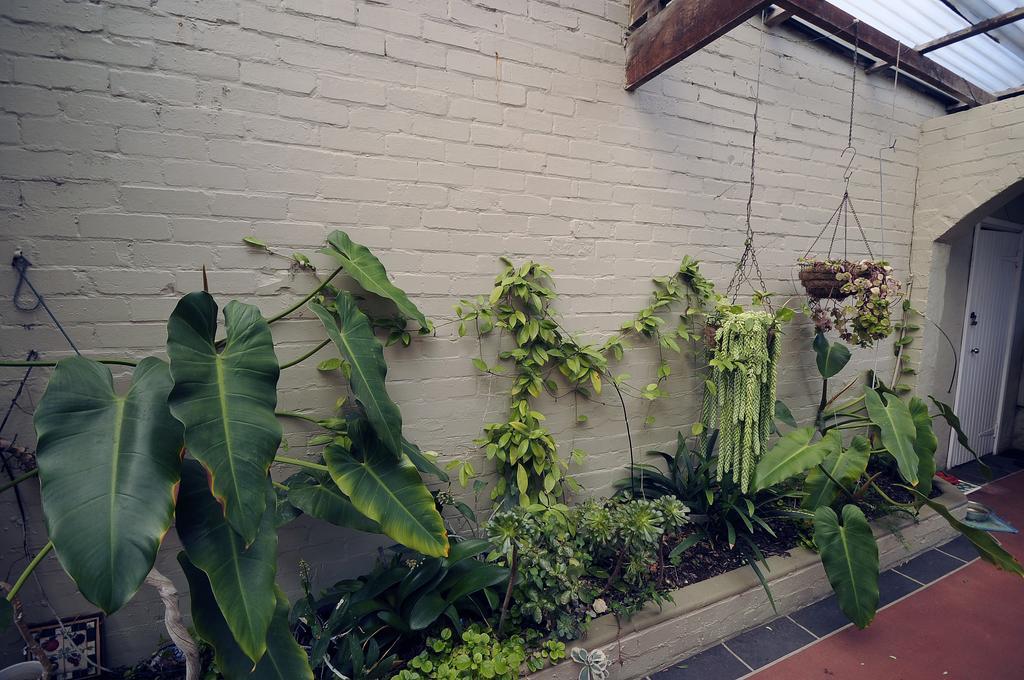 My Place Accommodation Albany Exterior foto